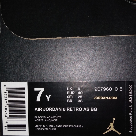 Air Jordan 6 'All Star-Chameleon' - Picture 10 of 10